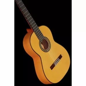 ویژگی گیتار ریموندو 145